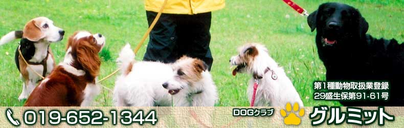 DOGクラブグルミット